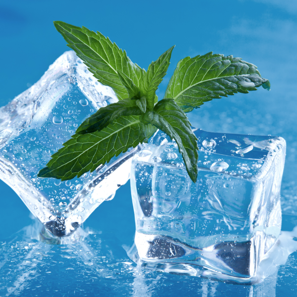 Tips Menjaga Kualitas Es dan Suhu di Dalam Ice Box Stainless Pasif